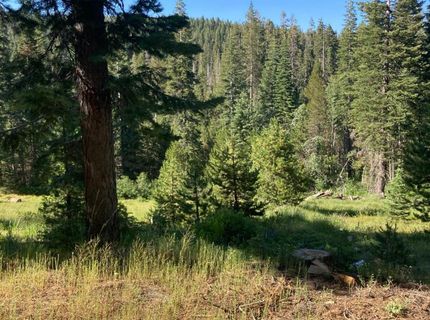 180 Bucks Meadow Dr, Bucks Lake, CA 95971 Photo