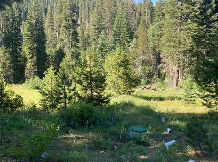 180 Bucks Meadow Dr, Bucks Lake, CA 95971 Photo