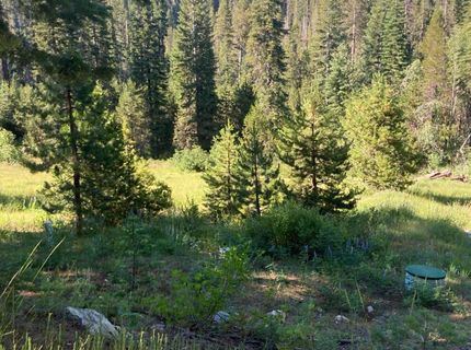 180 Bucks Meadow Dr, Bucks Lake, CA 95971 Photo