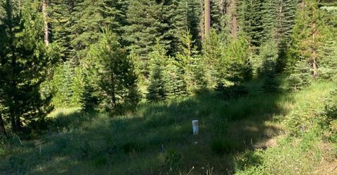 180 Bucks Meadow Dr, Bucks Lake, CA 95971 Photo