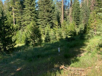 180 Bucks Meadow Dr, Bucks Lake, CA 95971 Photo