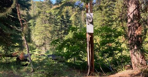 180 Bucks Meadow Dr, Bucks Lake, CA 95971 Photo