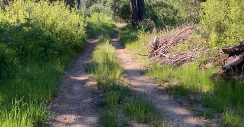 180 Bucks Meadow Dr, Bucks Lake, CA 95971 Photo