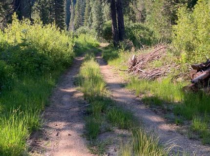 180 Bucks Meadow Dr, Bucks Lake, CA 95971 Photo