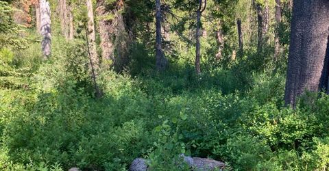 180 Bucks Meadow Dr, Bucks Lake, CA 95971 Photo