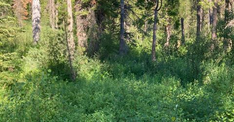180 Bucks Meadow Dr, Bucks Lake, CA 95971 Photo