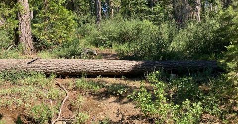 180 Bucks Meadow Dr, Bucks Lake, CA 95971 Photo