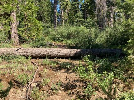 180 Bucks Meadow Dr, Bucks Lake, CA 95971 Photo