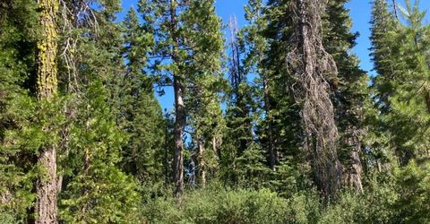 180 Bucks Meadow Dr, Bucks Lake, CA 95971 Photo