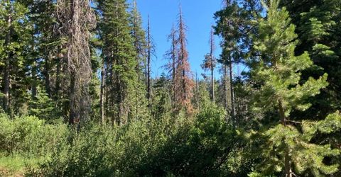 180 Bucks Meadow Dr, Bucks Lake, CA 95971 Photo