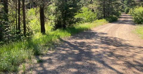 180 Bucks Meadow Dr, Bucks Lake, CA 95971 Photo