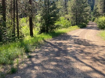 180 Bucks Meadow Dr, Bucks Lake, CA 95971 Photo