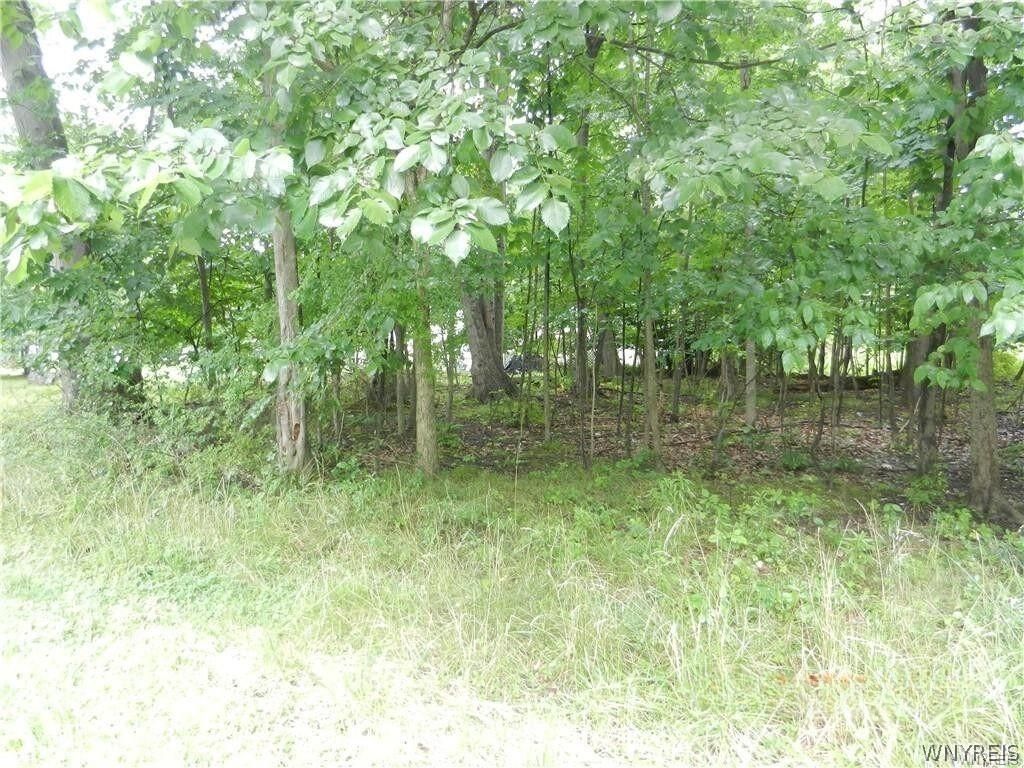 9815 Redwing Street, Angola, NY 14006 Main Photo