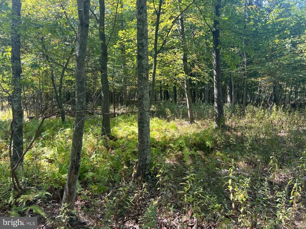 0 WERKHEISER LANE, STROUDSBURG, PA 18360