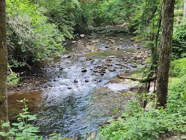 38 AC Tumbling Creek Road, Copperhill, TN 37317