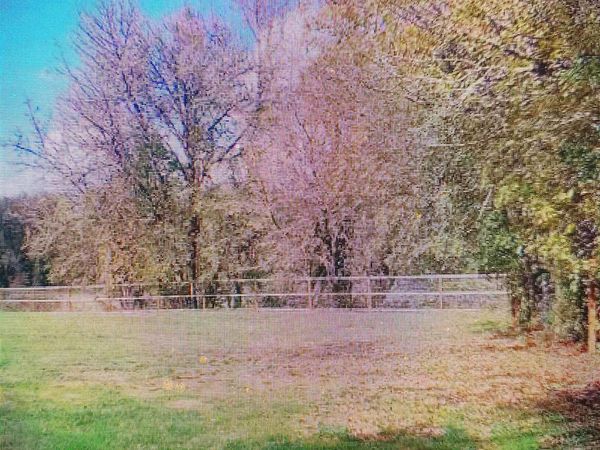 5935 Philomath Bl, Corvallis, OR 97333