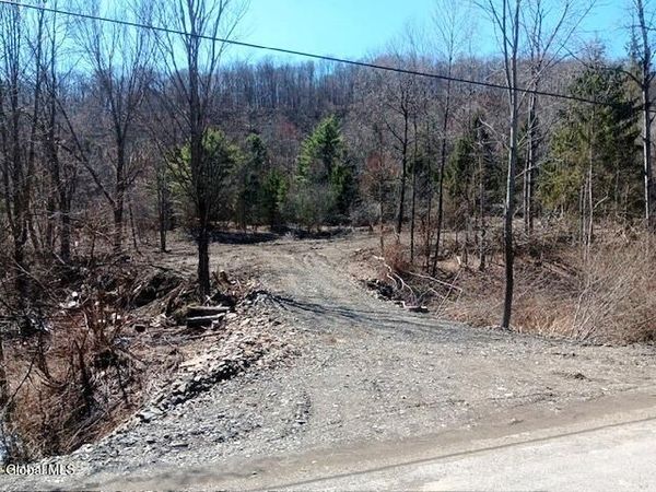 708 Smokey Avenue, Schenevus, NY 12155