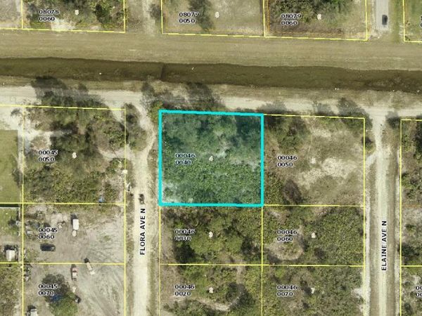4606 Flora Avenue N, Lehigh Acres, FL 33971