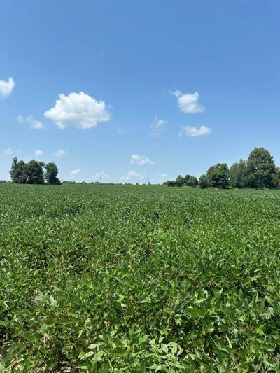 0 Highway 62, Campbell, MO 63933 Main Photo