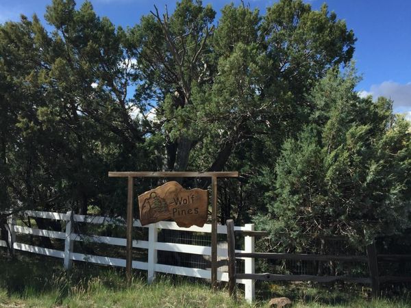 4817 Bison, Unit 42, Lakeside, AZ 85929