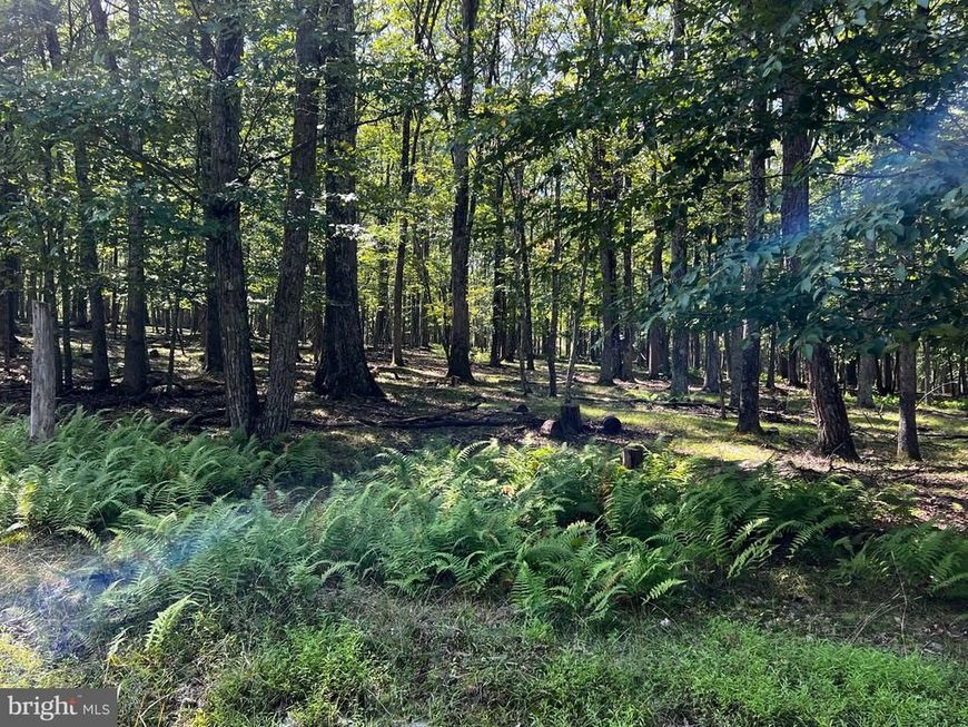 112 Spruce Court Lot 244, Lords Valley, PA 18428 Main Photo