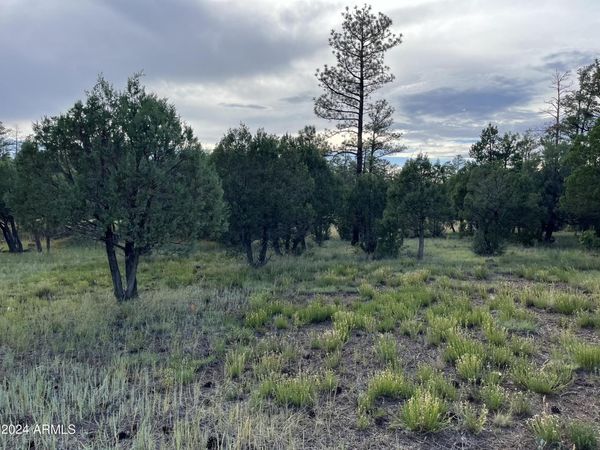 5402 RED SQUIRREL Lane, Unit 27, Lakeside, AZ 85929