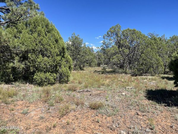 5541 GRAY WOLF Drive, Unit 43, Lakeside, AZ 85929