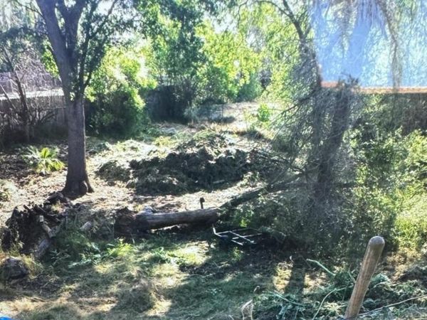 1365 Williamson Rd, Manteca, CA 95337