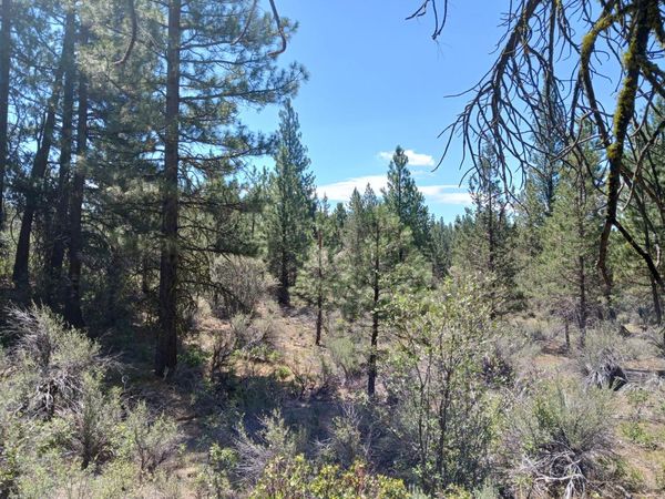 0 Oriole Drive, Unit Lot 12, Bonanza, OR 97623