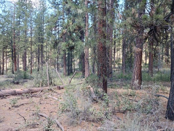 0 Oriole Drive, Unit Lot 13, Bonanza, OR 97623