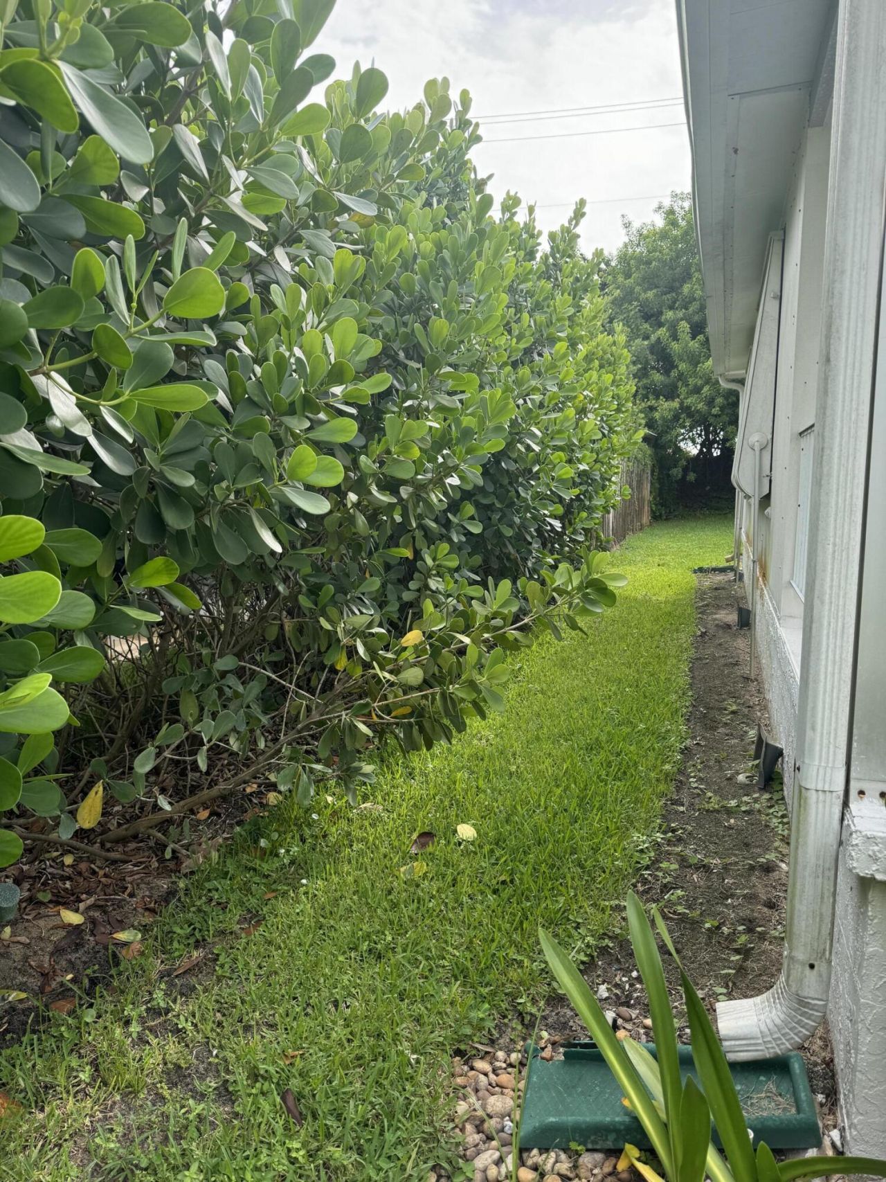 8051 SE Homestead Avenue, Hobe Sound, FL 33455 Photo