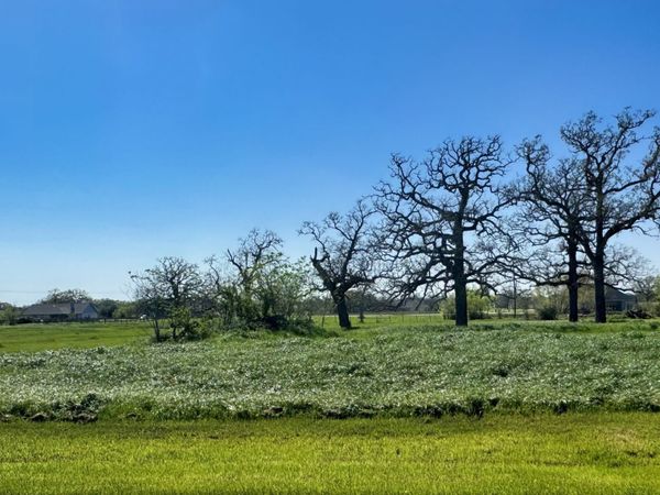 9993 Panther Creek Drive, Iola, TX 77861