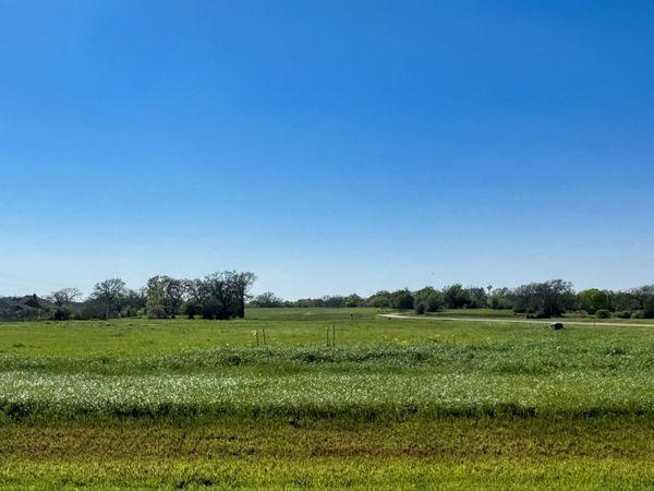 9971 Hidden Pond Drive, Iola, TX 77861