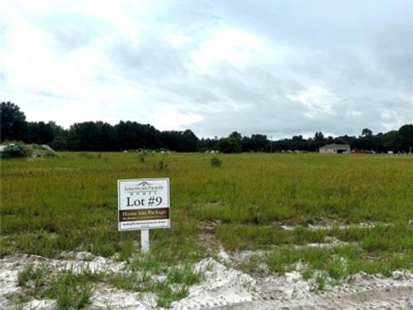 38521 WOODED MEADOW DRIVE, UMATILLA, FL 32784