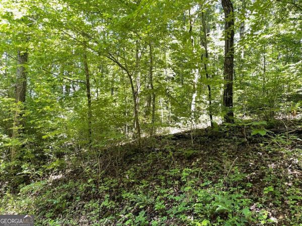 LOT 11 Fodder Creek Mill Drive, Hiawassee, GA 30546