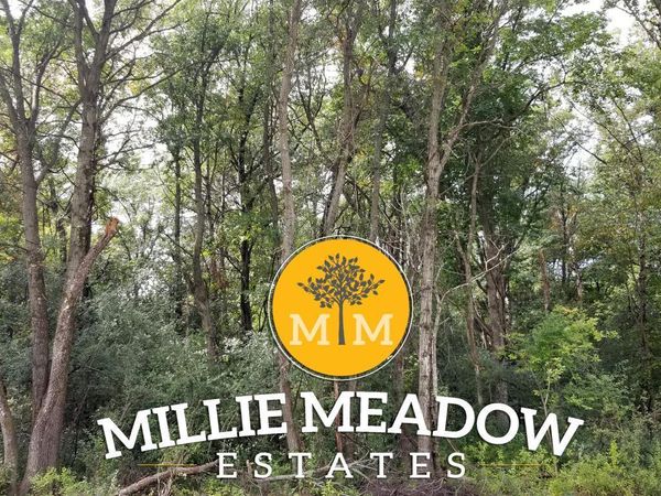 4008 Millie Meadow Drive SW, Rochester, MN 55902