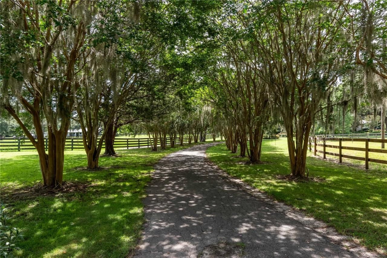 12500 NW 100th Street, Ocala, FL 34482 Photo