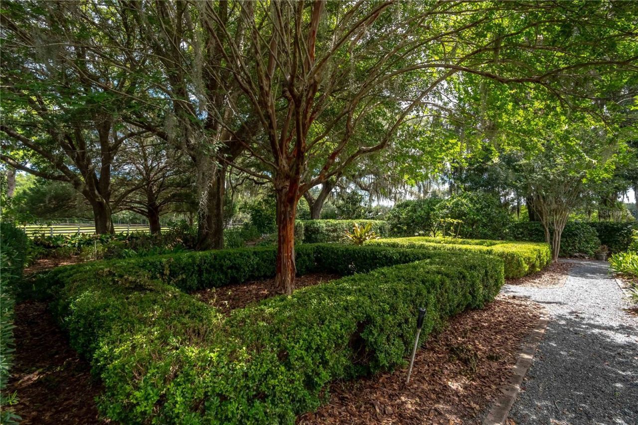 12500 NW 100th Street, Ocala, FL 34482 Photo