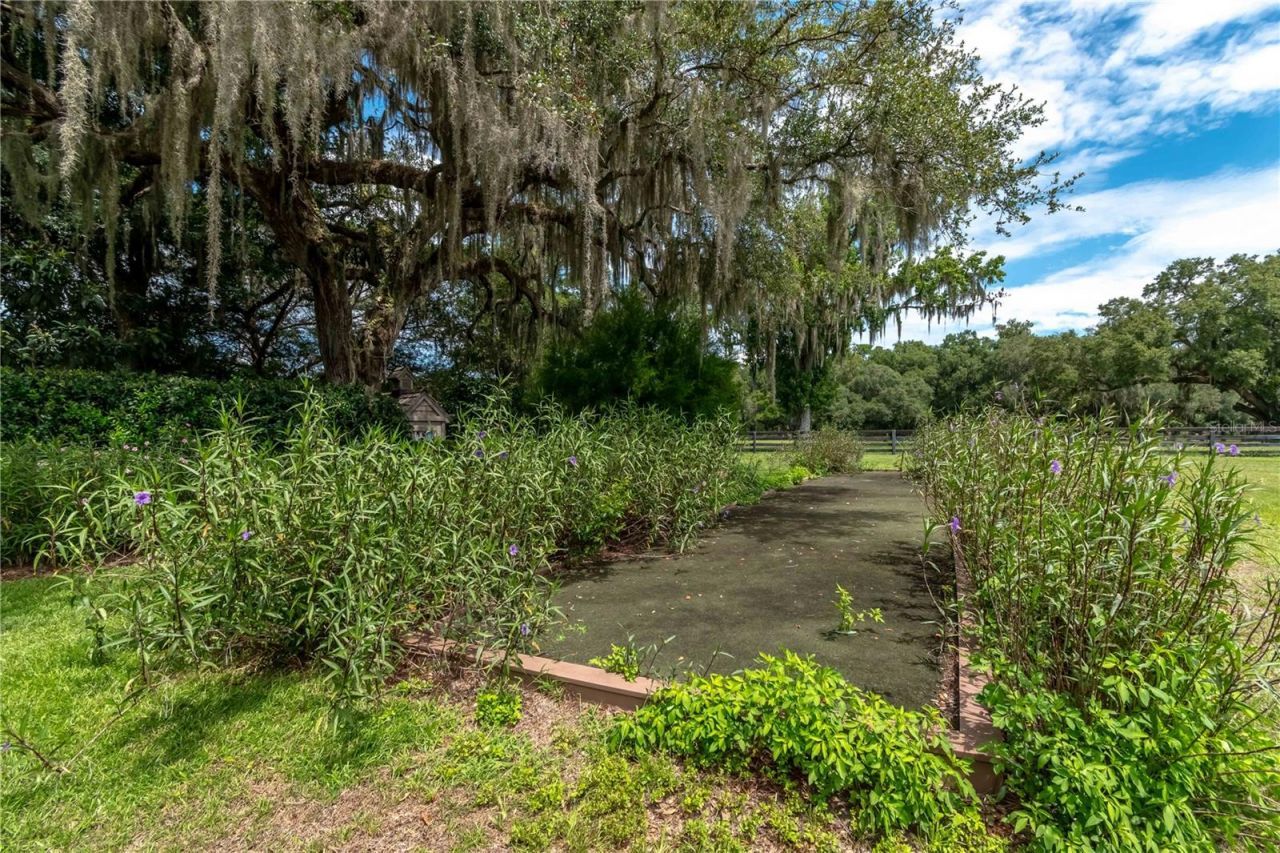 12500 NW 100th Street, Ocala, FL 34482 Photo