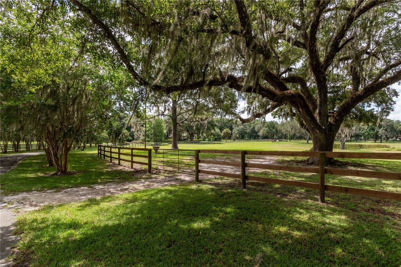 12500 NW 100th Street, Ocala, FL 34482 Photo
