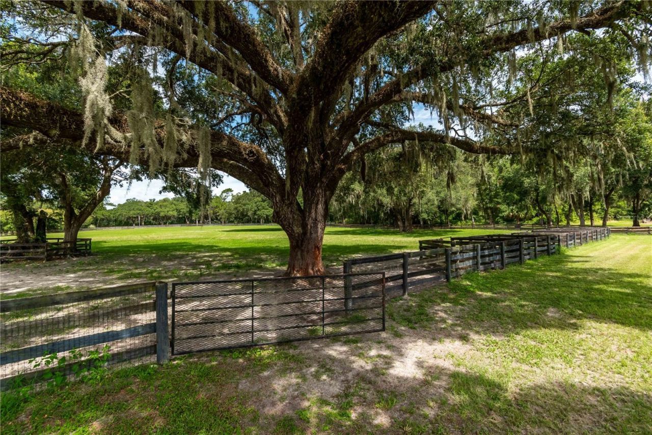 12500 NW 100th Street, Ocala, FL 34482 Photo