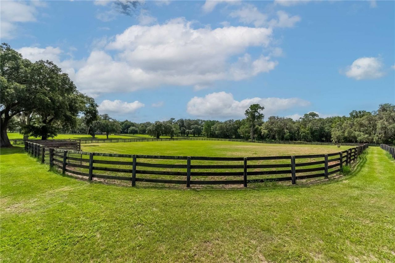 12500 NW 100th Street, Ocala, FL 34482 Photo