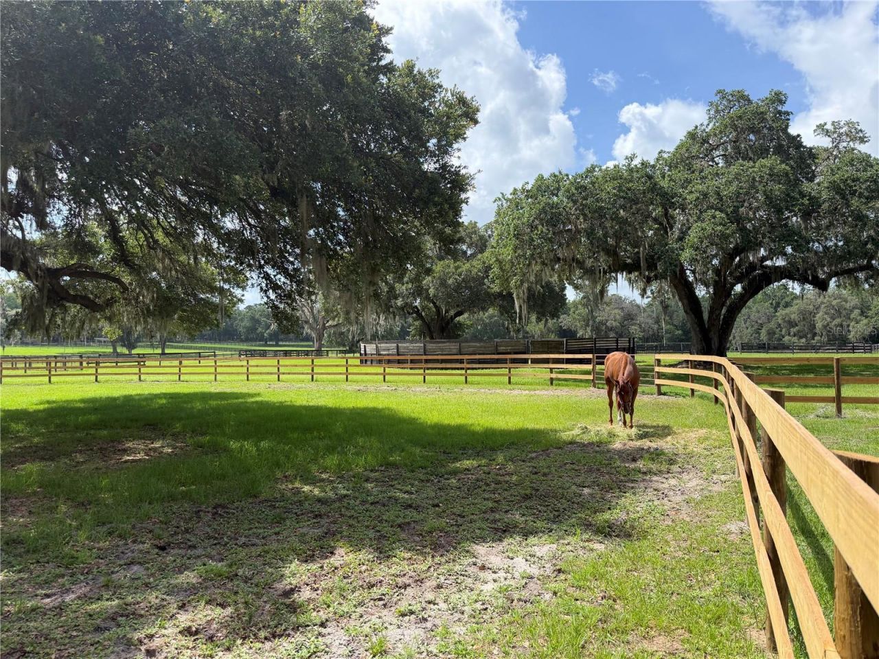 12500 NW 100th Street, Ocala, FL 34482 Photo