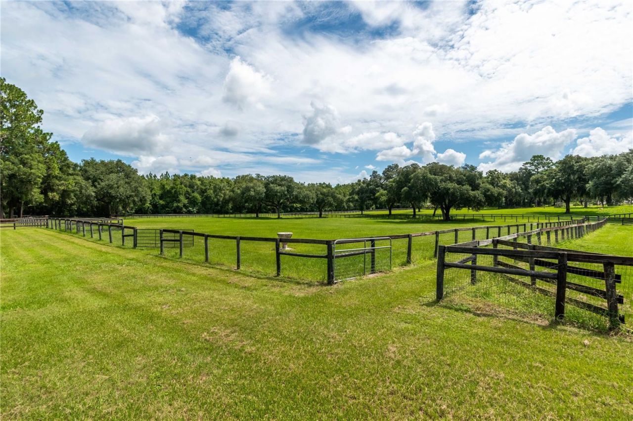 12500 NW 100th Street, Ocala, FL 34482 Photo