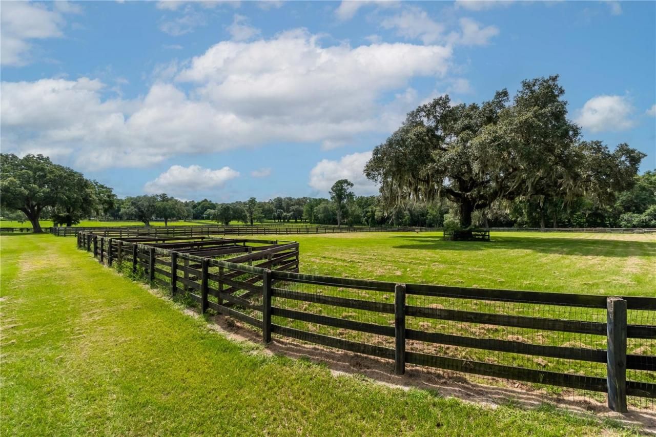 12500 NW 100th Street, Ocala, FL 34482 Photo