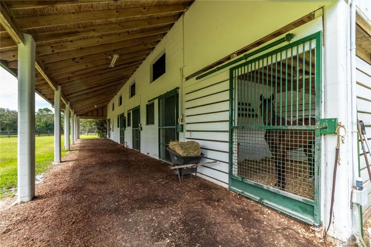 12500 NW 100th Street, Ocala, FL 34482 Photo