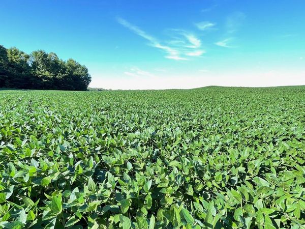 0 Country Club Road, Brownsville, TN 38012