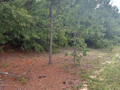 1148 Hwy1 South, Lugoff, SC 29078