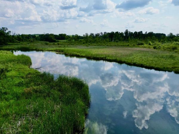 Lot 3 Block 2 River View Trail, Pelican Rapids, MN 56572