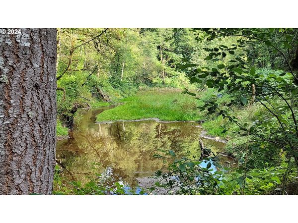 SE GORDON CREEK RD, Corbett, OR 97019